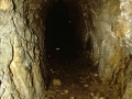 Zontzorroitz