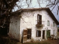 Larrea