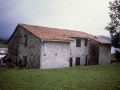 Larrea