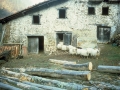 Sarobe Sein