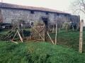 Agerre (Agerre Berri)