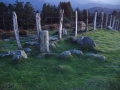 Arritxulangaña (Arg: 4)