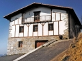 Ostogoena