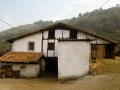 Lopene