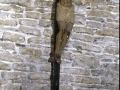 San Lorenzo