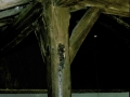 San Lorenzo