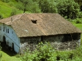 Bekola