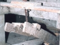 Bekola (Alzolaras Bekoa)