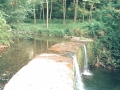 Bekola (Alzolaras Bekoa)