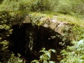 Bekola (Alzolaras Bekoa)
