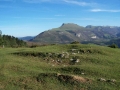 Linatza (Arg: 2)