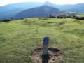 Linatza (Arg: 3)