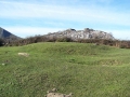 Linatza (Arg: 4)
