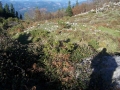Urtapotolueta II (Arg: 1)