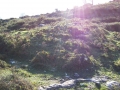 Urtapotolueta II (Arg: 3)