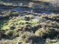 Urtapotolueta II (Arg: 4)