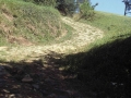 Andu (Aganduru)