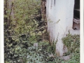Madalena