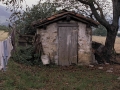 Erbiola