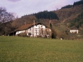 Arginetxe