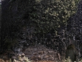 Arrabiola (errota eta burdinola)
