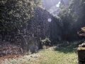 Arrabiola (errota eta burdinola)