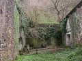 Arrabiola (errota eta burdinola)