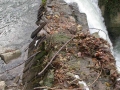 Arrabiola (errota eta burdinola)