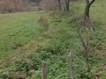 Arrabiola (errota eta burdinola)