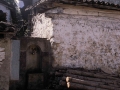 Kortaberri