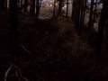Korrala