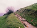 Belabieta