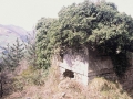Telegrafo