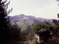 Telegrafo