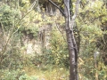 San Zipirio