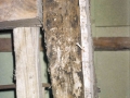 Areizaga (Baroikoa)