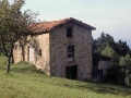 Garro I