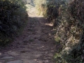 Garro I