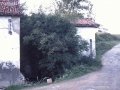 Errota Zahar