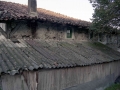 Agerre Bekoa