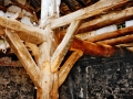 Agerre Bekoa