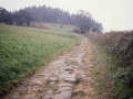 Garro II