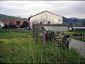 Etxaniz
