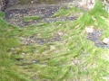 Cargadero de Mollarri