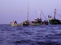 La trainera Ama Guadalupekoa en una regata de traineras