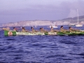 La trainera Ama Guadalupekoa en una regata de traineras
