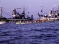 La trainera Ama Guadalupekoa en una regata de traineras
