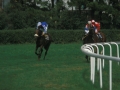 Carrera de caballos en el hipódromo de Lasarte