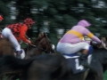 Carrera de caballos en el hipódromo de Lasarte