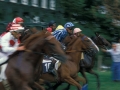 Carrera de caballos en el hipódromo de Lasarte